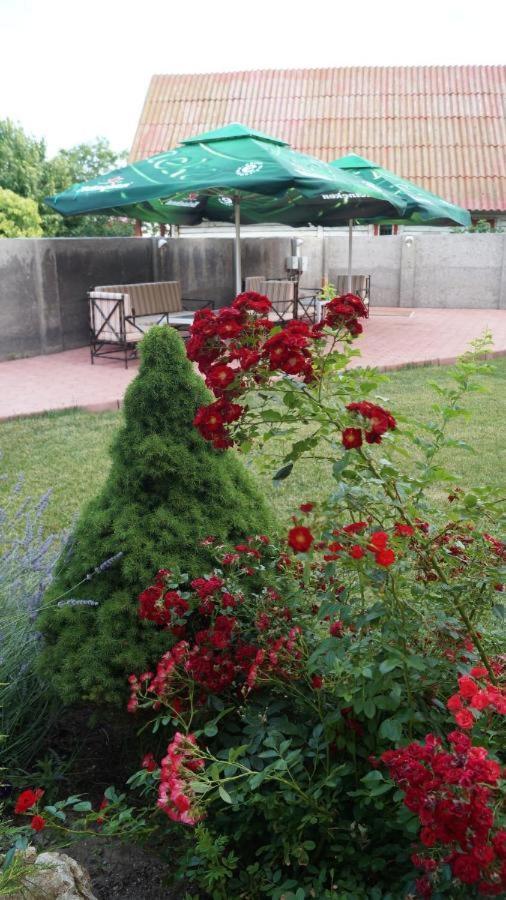 Hotel Bourbon فاما فيكي المظهر الخارجي الصورة